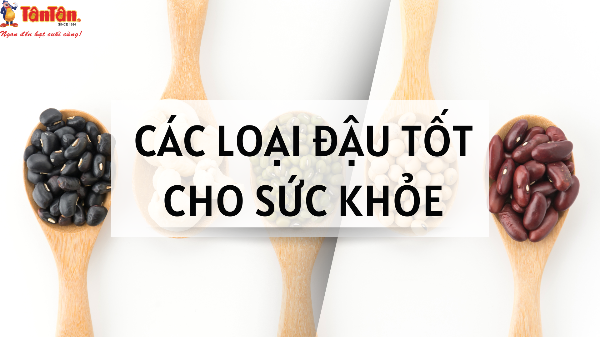 TỔNG HỢP CÁC LOẠI ĐẬU TỐT CHO SỨC KHỎE, LƯU Ý KHI SỬ DỤNG