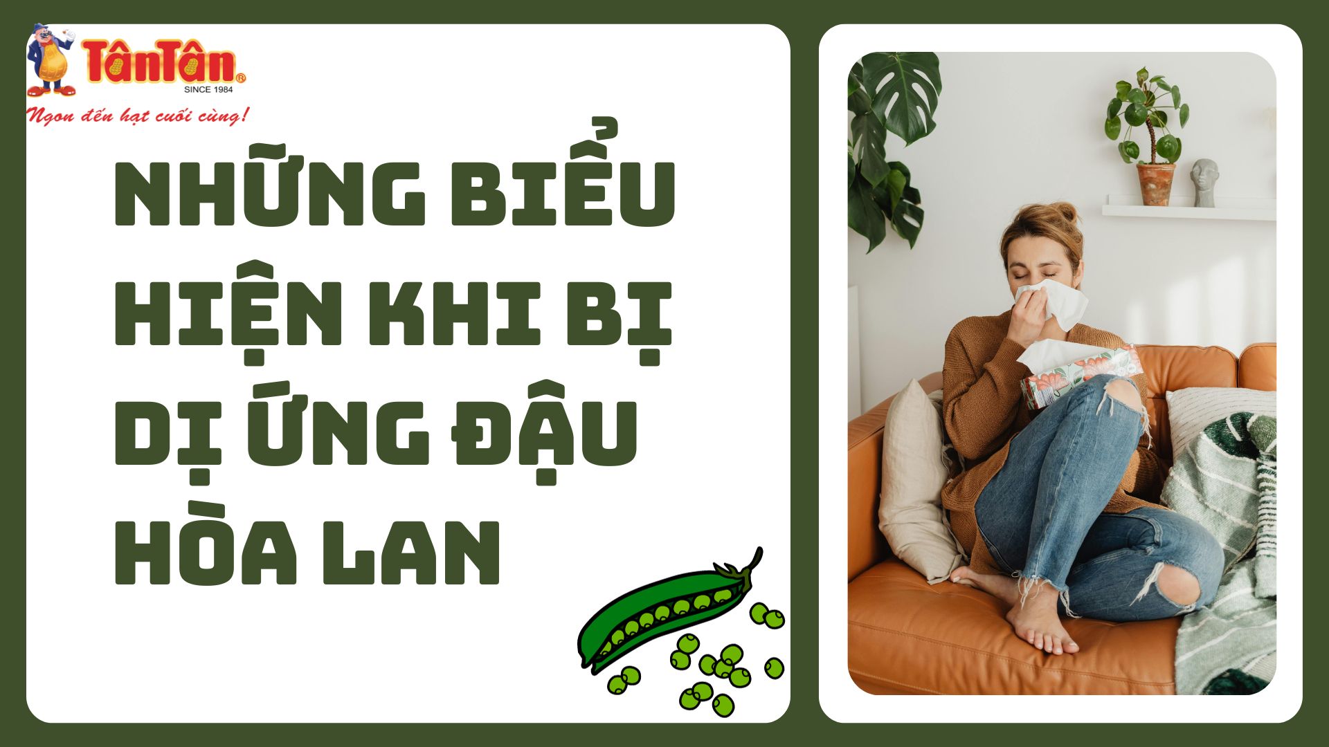 NHỮNG BIỂU HIỆN KHI BỊ DỊ ỨNG ĐẬU HÒA LAN