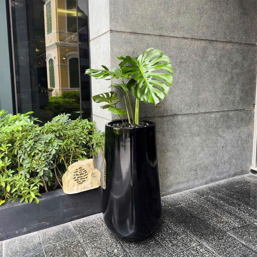 chậu composite dáng cao