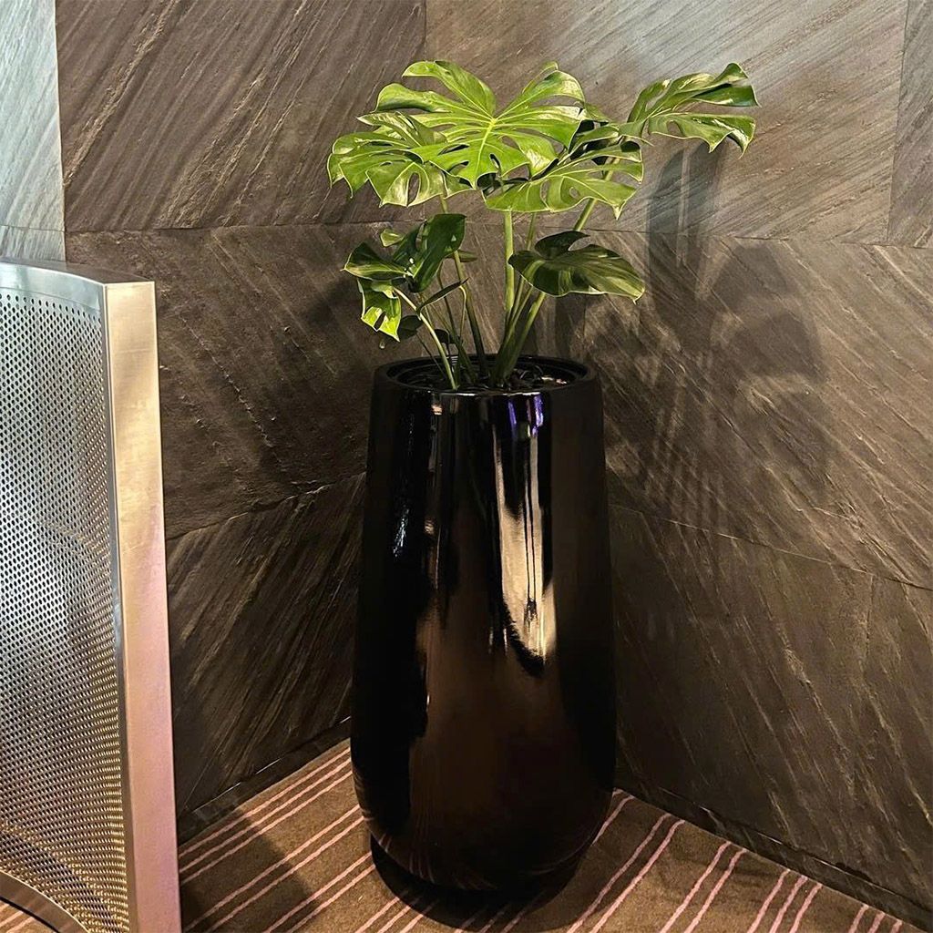 chậu composite màu đen