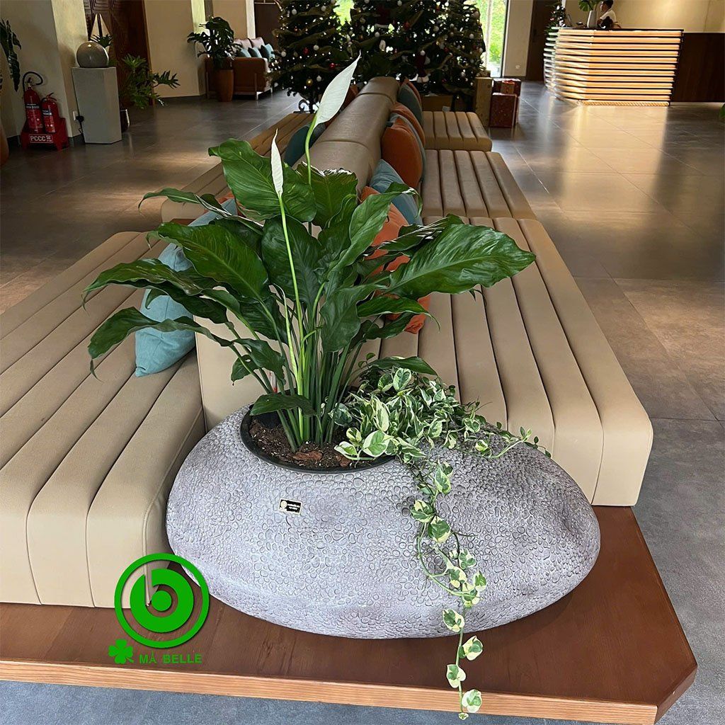 chậu composite hình cục đá