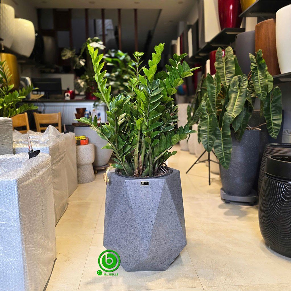 chậu composite giả đá