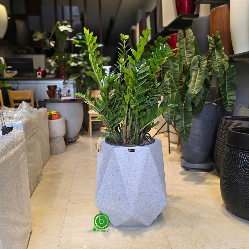 chậu composite giả đá