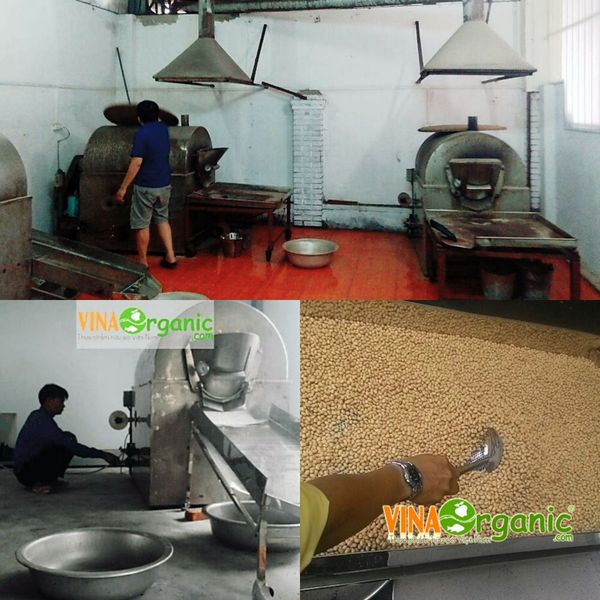 Lắp đặt Dây chuyền sản xuất Đậu nành, đậu hà lan sấy giòn ở Campuchia