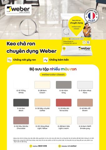 BẢNG MÀU KEO CHÀ RON webercolor classic