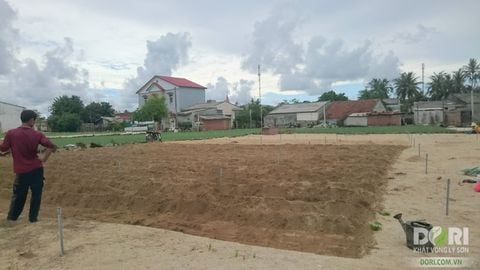 Phương án thử nghiệm Nông nghiệp hữu cơ thứ nhất cho cây hành tỏi Lý Sơn - Tháng 10/2017