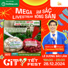 DORI SẼ CÓ MẶT TRONG MEGA LIVE “CÓ 1 KHÔNG 2” TẠI CITY TẾT FEST 2025 TRÊN SHOPEE