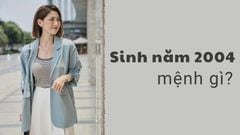 Sinh năm 2004 mệnh gì? Hợp màu gì? Mặc đồ màu gì để may mắn?