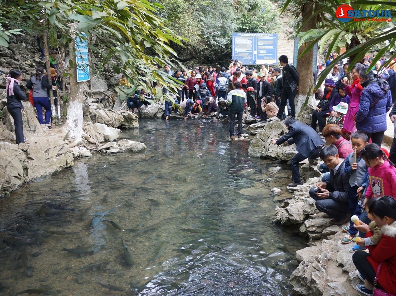 Du lịch suối cá thần