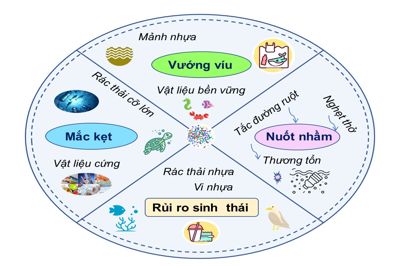ảnh hưởng tiềm tàng của rác thải biển cỡ lớn và giải pháp hướng tới hệ sinh thái bền vững.