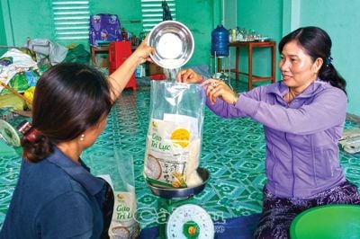 Cà Mau: Gạo sạch hữu cơ Trí Lực