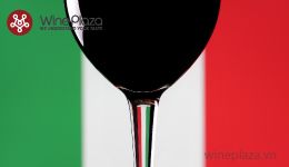 Ý nghĩa các thuật ngữ và nhãn rượu vang trong tiếng Ý