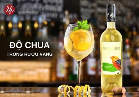 TÌM HIỂU VỀ ĐỘ CHUA TRONG RƯỢU VANG