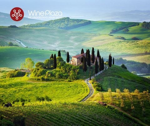 Chianti - Vùng rượu vang kiêu hãnh của Tuscany
