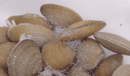 seafood_store_mota_cach lam lau kim chi hai san 01