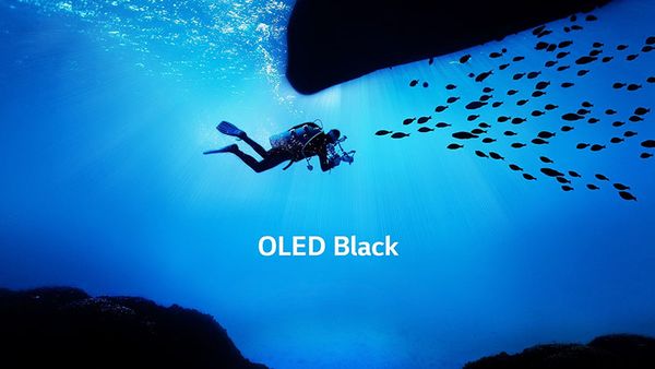 Smart Tivi LG 4K OLED 55 inch OLED55C9PTA