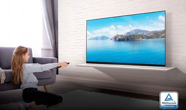 Smart Tivi LG 4K OLED 55 inch OLED55E9PTA