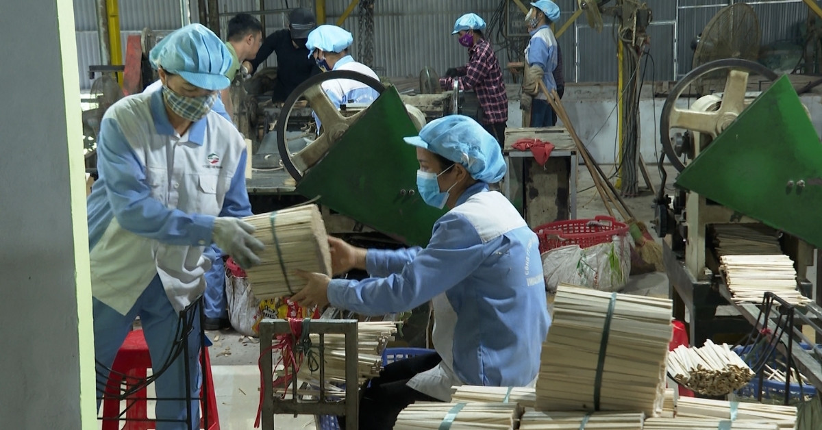 Hình ảnh nhà máy sản xuất đũa gỗ