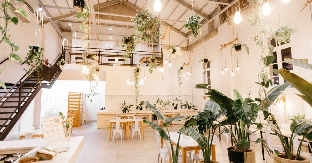 Thiết kế thi công thu hút