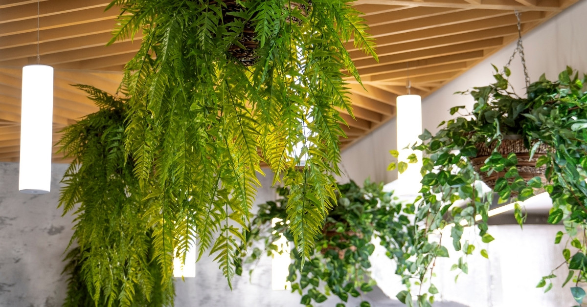 Lên ý tưởng trang trí