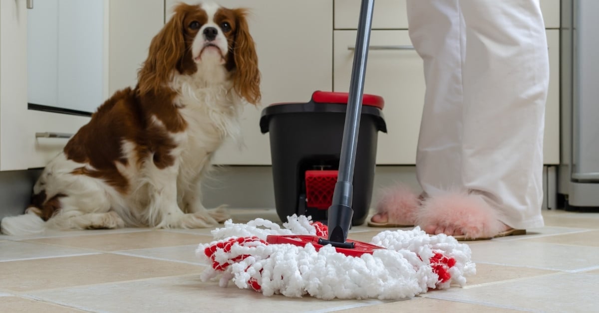 Sử dụng cây lau nhà chất lượng giúp không gian sống thoải mái hơn