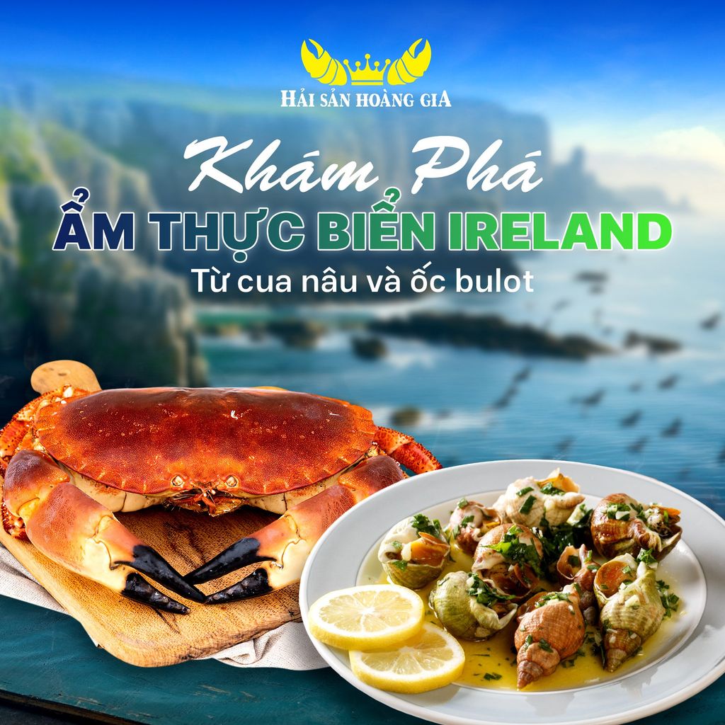 KHÁM PHÁ ẨM THỰC BIỂN IRELAND TỪ CUA NÂU VÀ ỐC BULOT