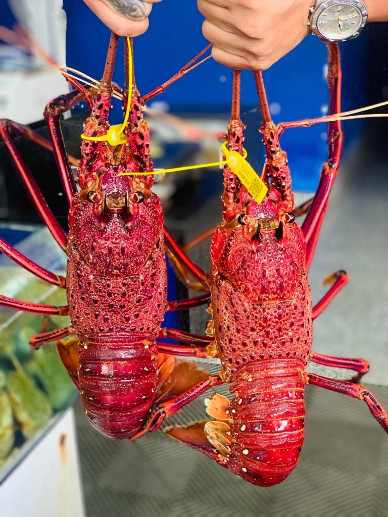 CÓ GÌ Ở TÔM HÙM TÂY ÚC - MÓN ĂN ĐƯỢC GIỚI SÀNH ĂN SĂN LÙNG?