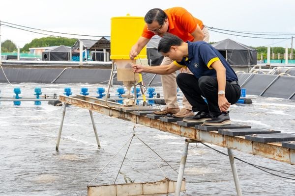 Hải Sản Hoàng Gia ký kết hợp tác chiến lược với Tony Farm
