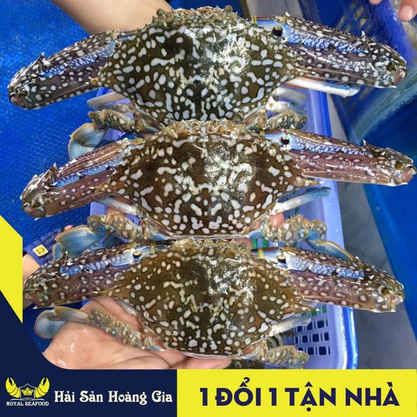 Ghẹ xanh 1 đổi 1 tận nhà