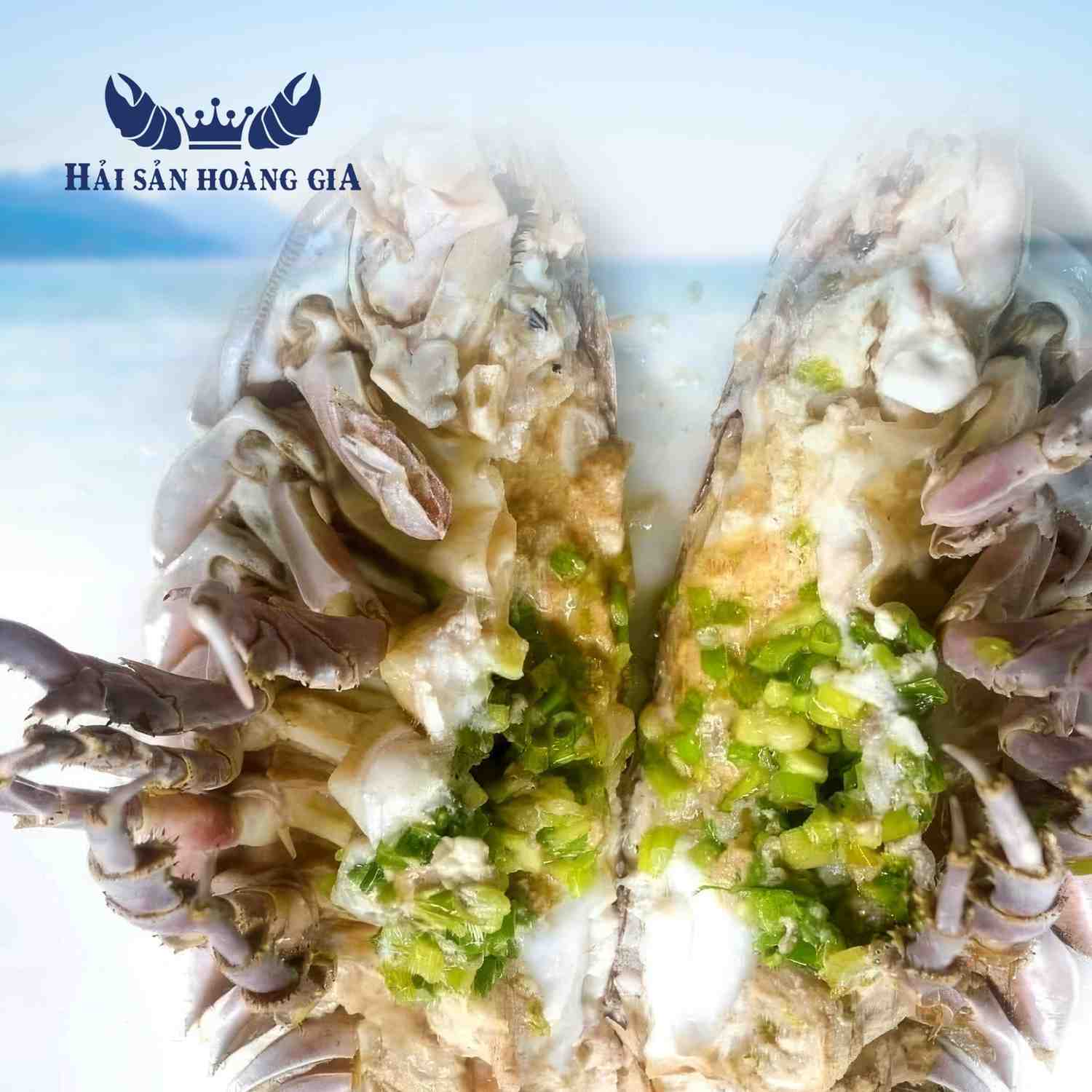 Bọ biển hấp sống