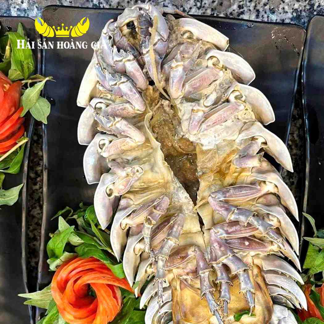 Bọ biển tươi sống - Hải Sản Hoàng Gia