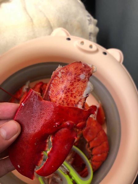 Chính sách đổi trả