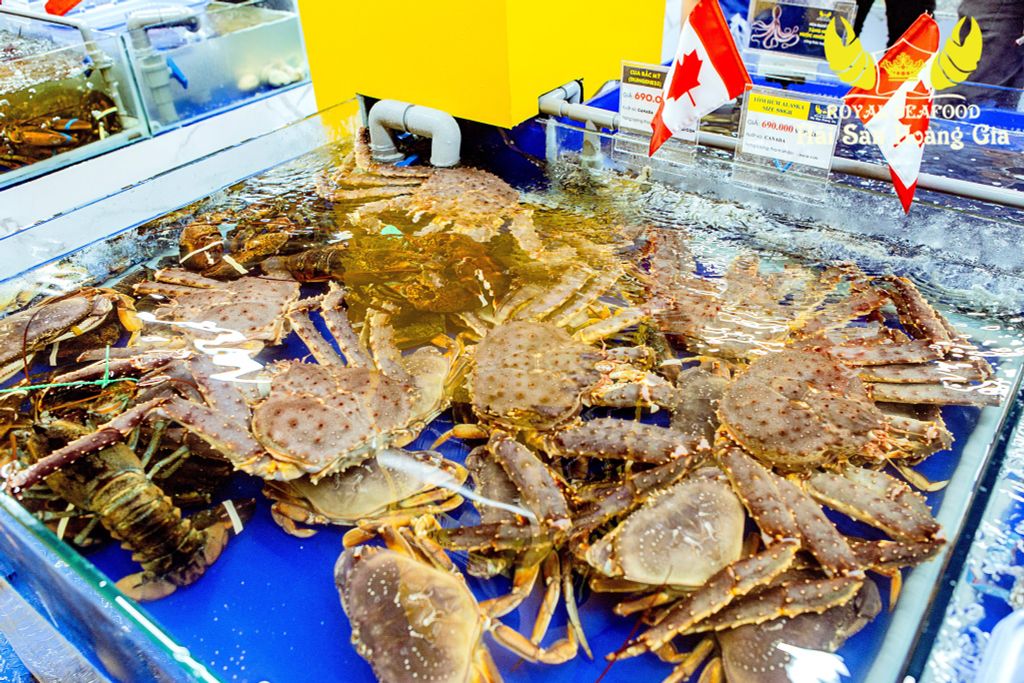 cua king crab hải sản hoàng gia