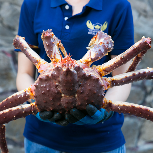 king crab chất lượng cao tại Hải sản Hoàng Gia