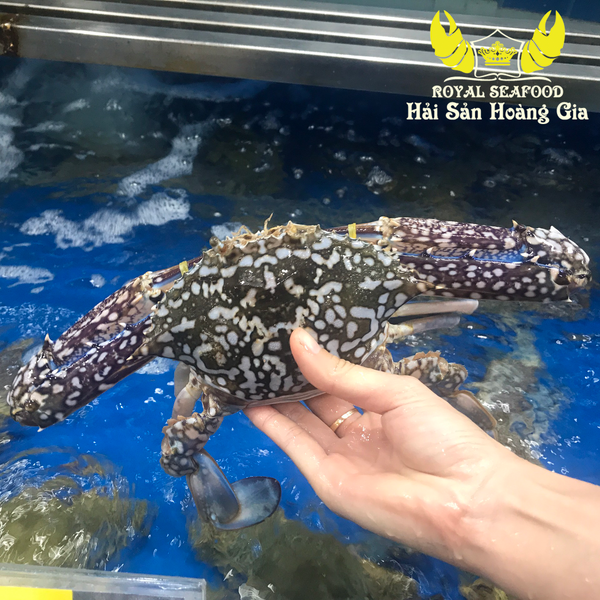 Ghẹ xanh thiên nhiên loại I