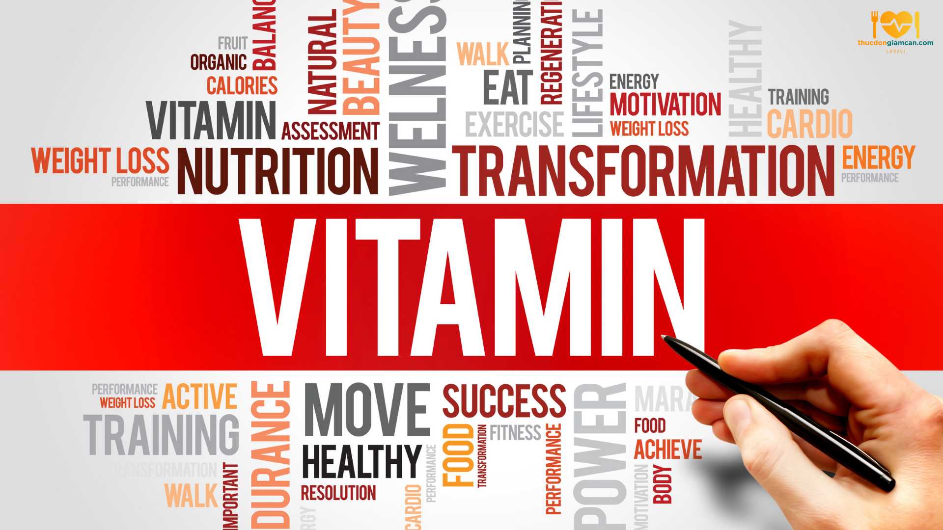 Vitamin là gì? Các loại vitamin và công dụng của vitamin với sức khoẻ