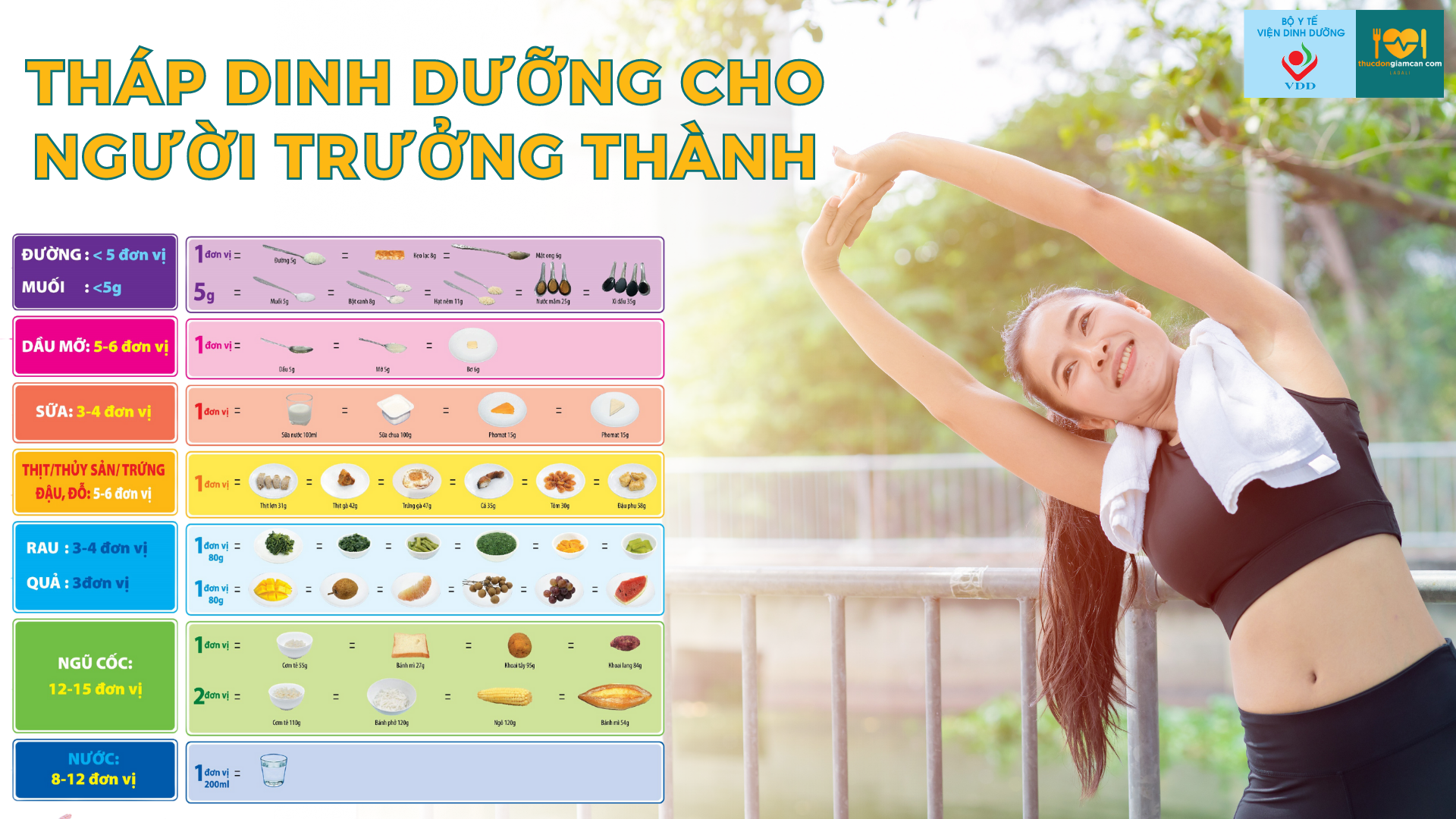 Thực đơn tháp dinh dưỡng cho người trưởng thành nhu cầu trong 1 ngày