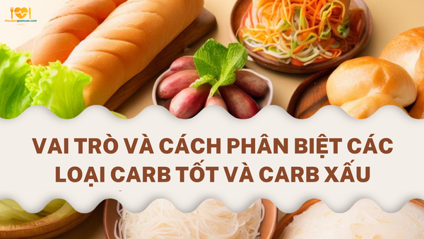 Carb là gì? Vai trò và cách phân biệt các loại carb tốt và carb xấu