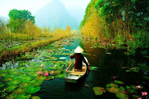 Khám phá vẻ đẹp rừng Cúc Phương (Ninh Bình)
