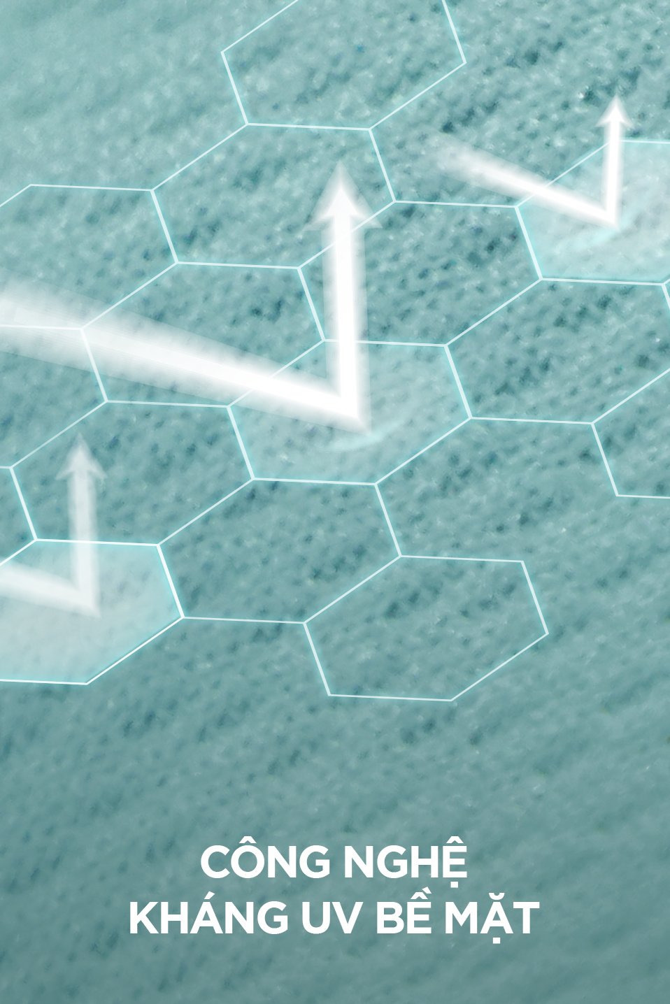 Banner 3