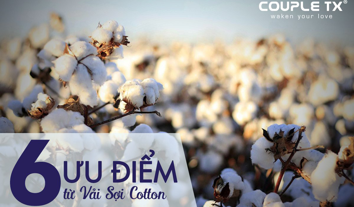 6 ƯU ĐIỂM TUYỆT VỜI CỦA VẢI SỢI COTTON