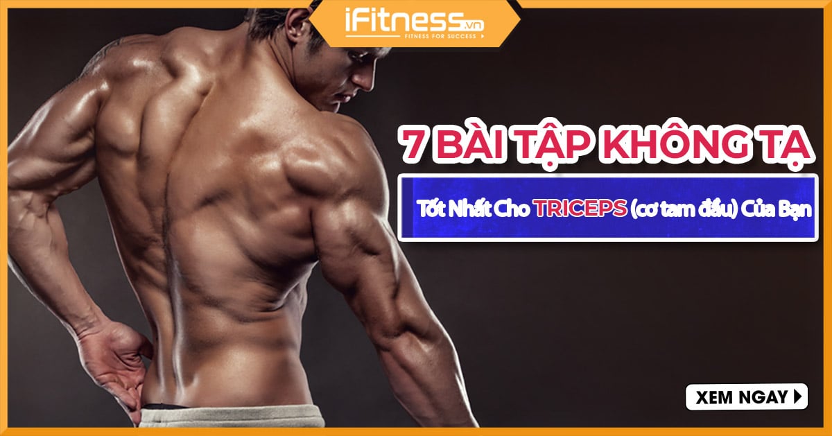 7 Bài Tập Không Dùng Tạ Tốt Nhất Cho Triceps (cơ tam đầu) Của Bạn