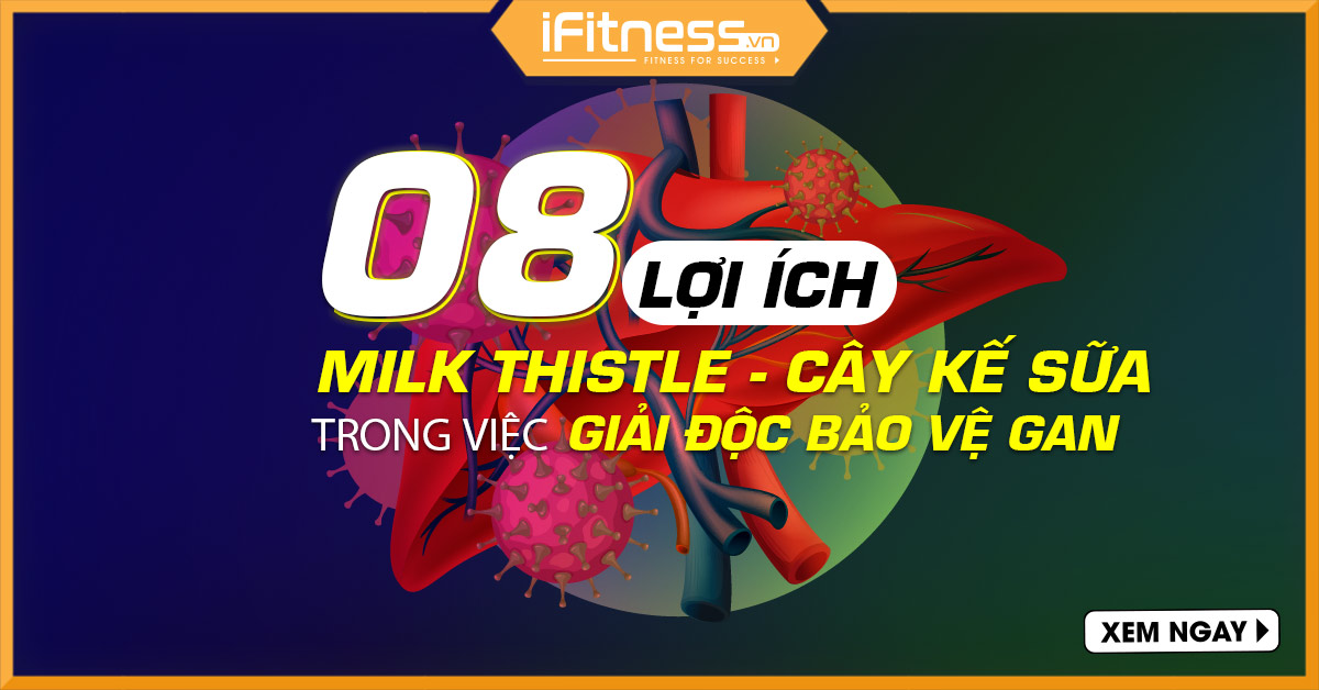 Mọi thứ bạn cần biết về Milk Thistle - Cây kế sữa trong việc giải độc bảo vệ gan