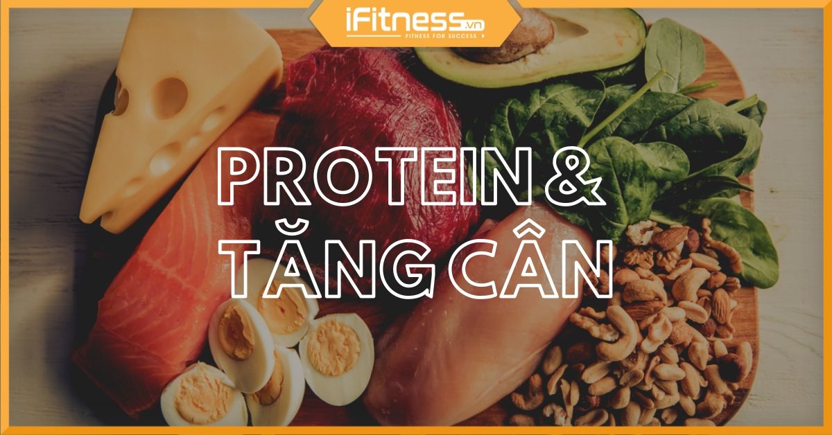 Ăn nhiều protein có béo không? Giảm cân bằng protein có hiệu quả?