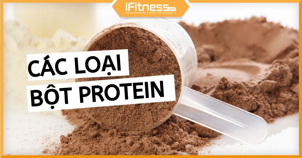 Tìm hiểu về bột protein là gì và lợi ích của nó cho sức khỏe