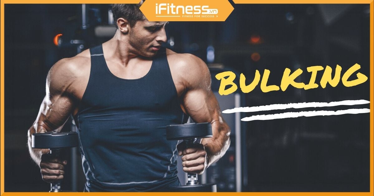 Hướng dẫn cách bulking (xả cơ) đảm bảo thành công dành cho gymer