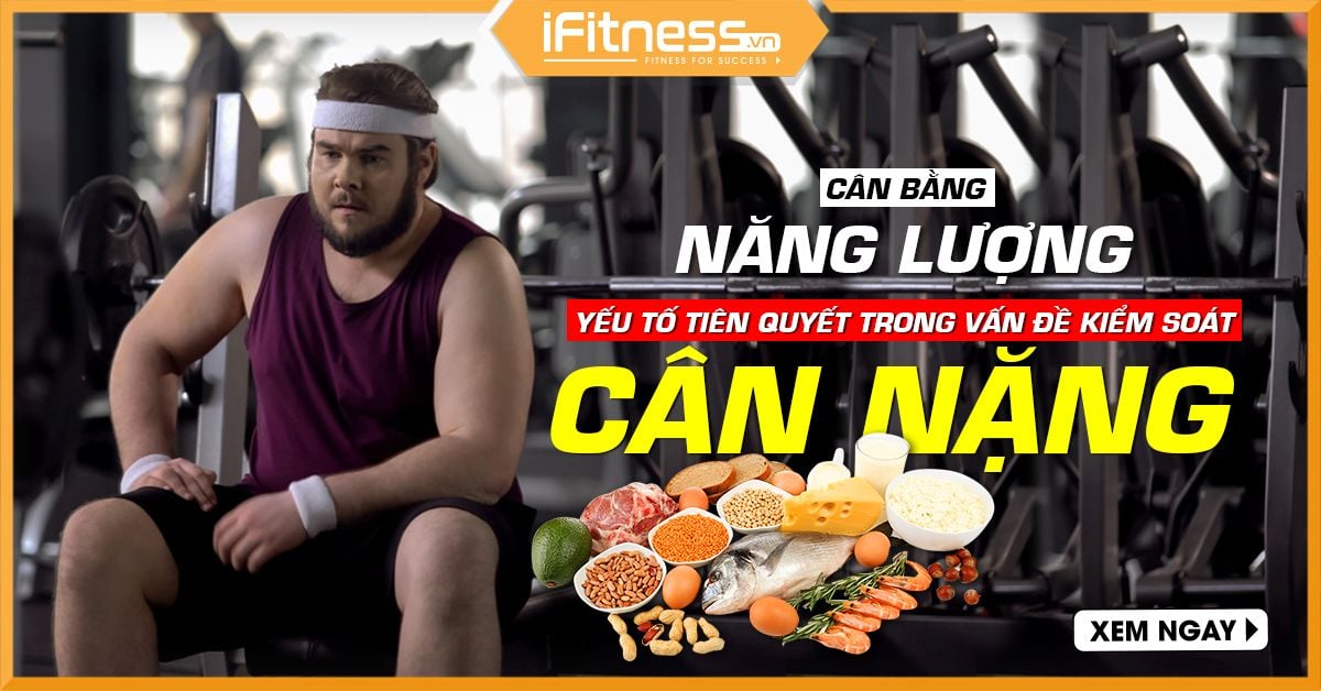 Định luật bảo toàn năng lượng, tăng cân, giảm cân và những sai lầm phổ biến