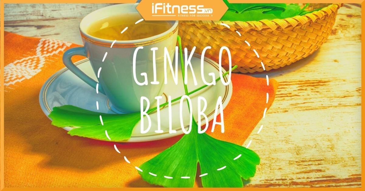 Ginkgo Biloba là gì? Lợi ích, tác dụng phụ và cách sử dụng ra sao?