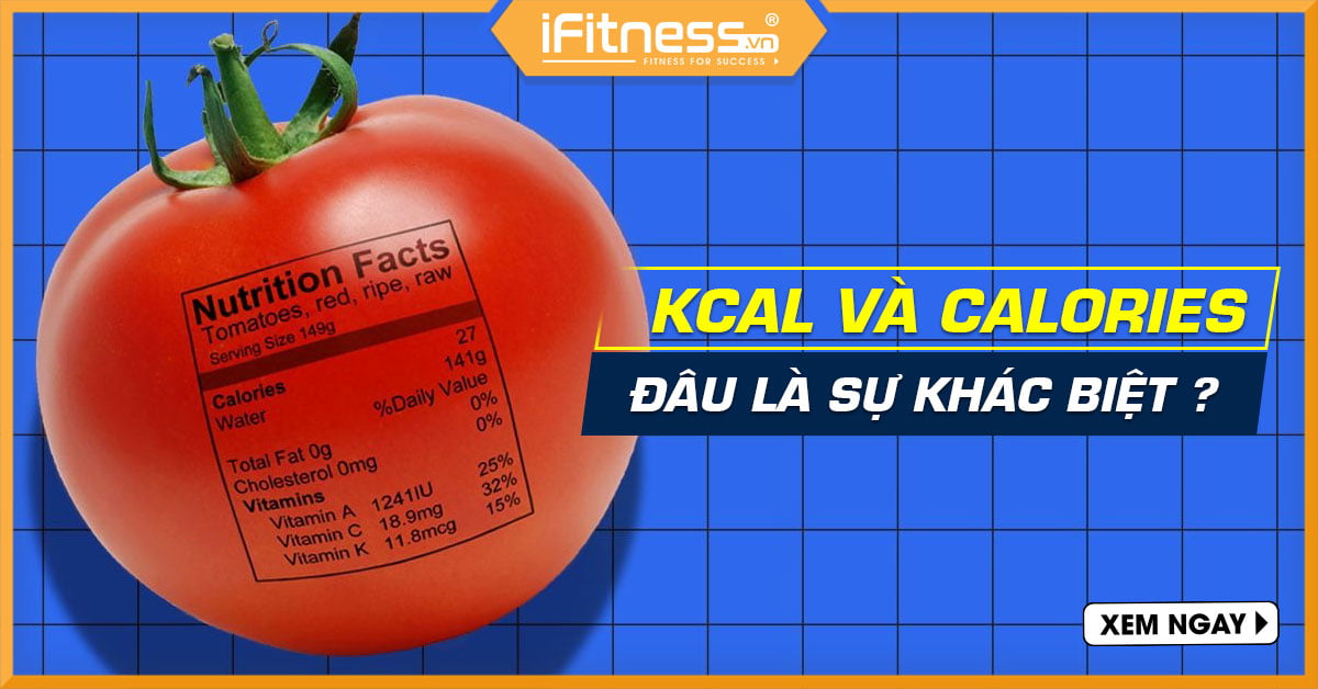 Làm sao để phân biệt Kcal và Calo? Những điều cần biết để duy trì sức khỏe và cân nặng