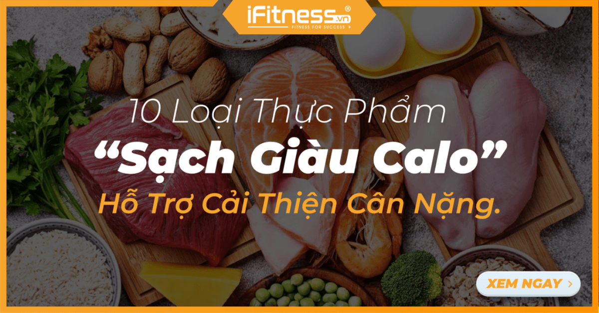 Top 10 Loại Thực Phẩm Có Hàm Lượng Calo Cao Phù Hợp Cho Người Muốn Tăng Cân?